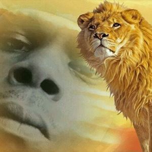 Meet your Posher, Leo